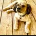 Jolynn Taylor - Facebook