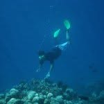 Jon Adcock - @adcofizz - Instagram