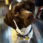 Jon Adcock - @j.m.a.68 - Instagram
