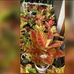 Joni Anders - Facebook