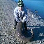 John Alcorn - @john.alcorn - Instagram
