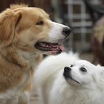 jon & alden - @jon.alden - Instagram