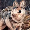 Jon Allan - @jon.allan5 - TikTok