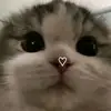 joana - @jona.mato - TikTok