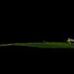 Jon Andres Photography - Facebook