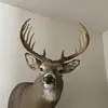 Jon Anthony - @jonanthony79 - TikTok