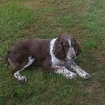 John Appleby - @johnappleby82 - Instagram
