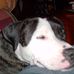 Jon Armbruster - Facebook