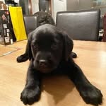 jón kristberg Árnason - @jon_litli - Instagram