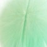 pétur jón árnason - @peturjon - Instagram