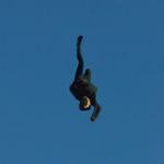 Jonas Lindstroem - @jonas_lindstroem - Instagram