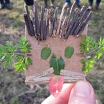 Jon Attwood - @alp.jonattwood - Instagram