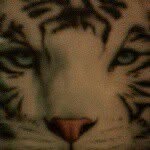Jon Back - @jon.back43 - Instagram