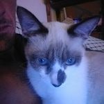 Jon Barkley - @cowboyjon82 - Instagram