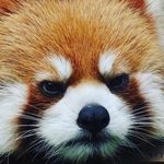 Jon Barnes - @jon._barnes - Instagram
