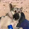 jonahbarnhart261 - @jonahbarnhart261 - TikTok