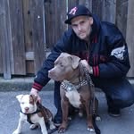 Jon Barry - @barrysbullykennels - Instagram