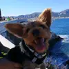 Jon Barry - @jon2barry - TikTok