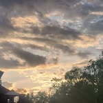 Jon Bartz - @jon.bartz.585 - Instagram
