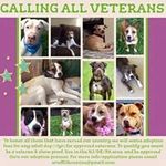 Jon Beagle - @jonbeagle - Instagram