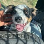 Jon Beaman - @jon_beaman - Instagram