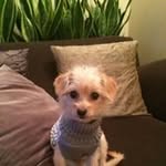 Jon Beaman - @jon.beaman - Instagram