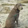 Jon Beck - @jon.beck1 - TikTok