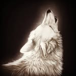 jon - @jonbeckham492018 - Instagram