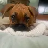 Jon Belcher - @jon.belcher - TikTok