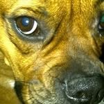 Jon Belcher - @jon.belcher.71 - Instagram