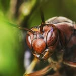 Jon Belcher - @filmzvalley - Instagram