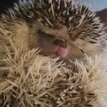 Jon Belker - @jon.belker - Instagram