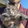 jonbenavidez - @jonbenavidez - TikTok