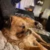 Jon Betts - @jon.betts0 - TikTok