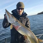 Jon Björk - @gustafssonjon - Instagram