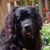 Jon Blanc - @jon.blanc6 - TikTok