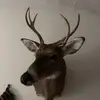 Jonathan Baublitz - @jonathanbaublitz2 - TikTok