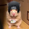 jonathanblitz - @imalegendbeast - TikTok