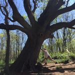 Jon Blosser - @jonbonblosser - Instagram