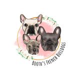 Jon Booth - @booths_french_bulldogs - Instagram
