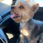 Jon Booth - @jonbooth - Instagram