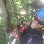 John Borgen - @john_the_arborist - Instagram
