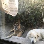 John Borgen - @jborgen72 - Instagram