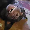 jon_branch - @jon_branch - TikTok