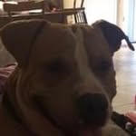 Jon Brantley - @jones21241 - Instagram