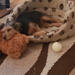 John Bratton - @bratton601 - Instagram