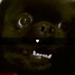 Jonas - @jonas_brekke - Instagram