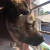 JonBrekke - @luettvkukbk - TikTok