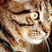 Jon Brenner - Facebook