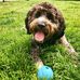 Jon Brenner - Facebook